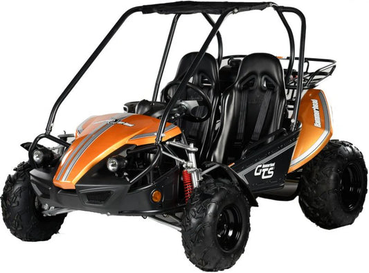 Hammerhead™ GTS150 Buggy - Orange - £2999